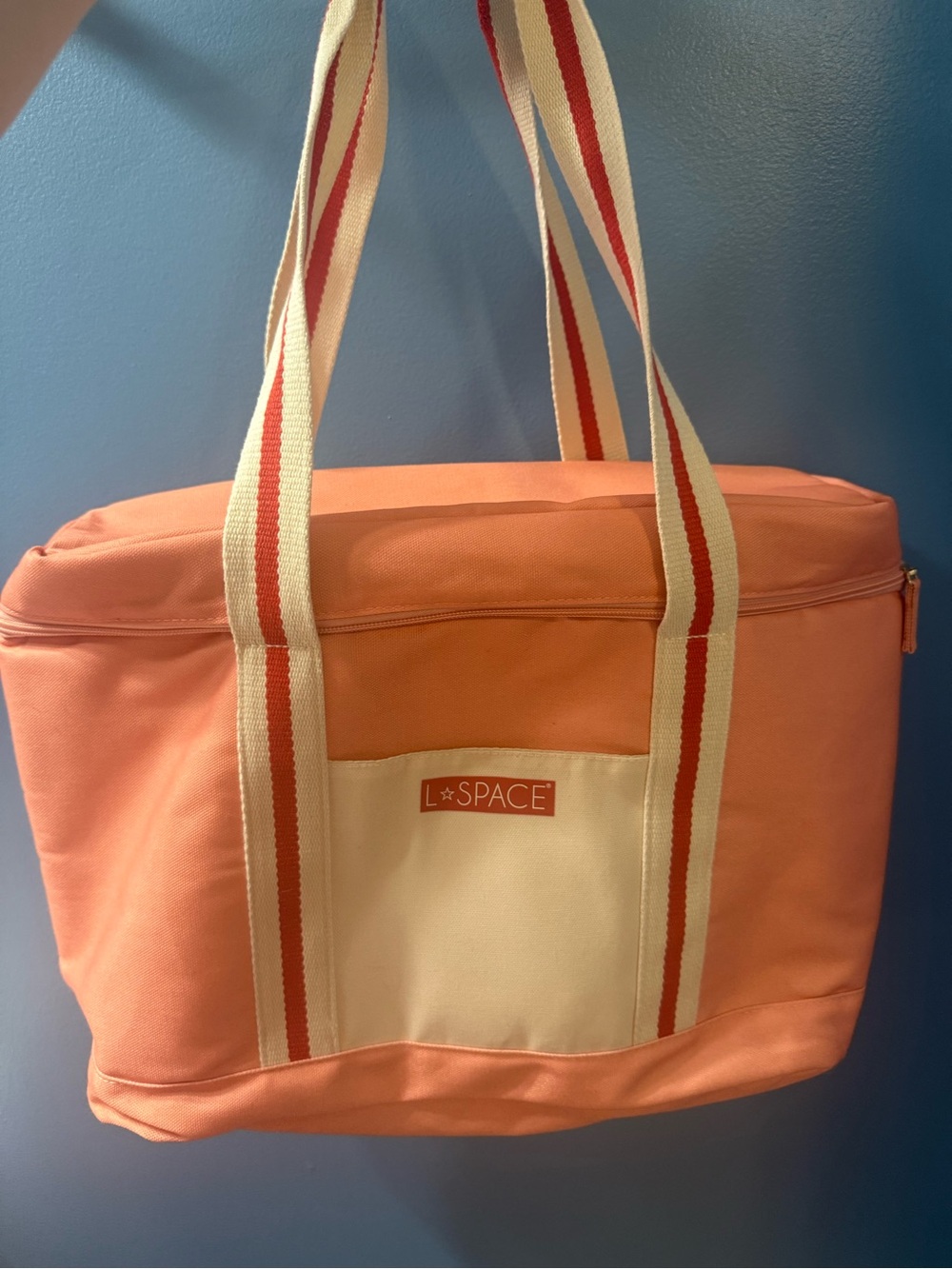 L Space cooler bag
